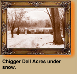 Chigger Dell Acres